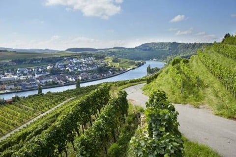 Imóveis para venda em Grevenmacher: mudar para o coração do Luxemburgo