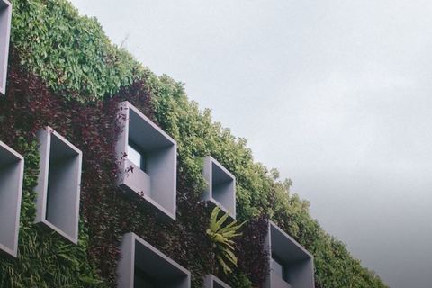 Immer umweltfreundlichere Gebäude