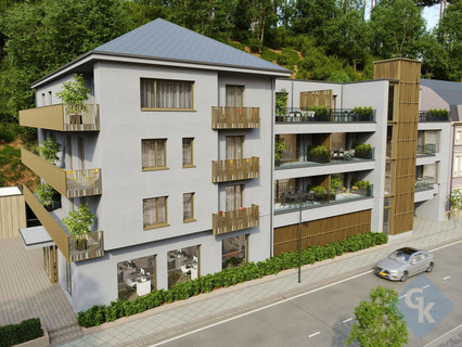 Business centre to sell in Clervaux