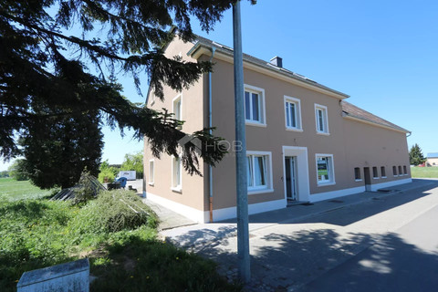 Büro zu vermieten in Holzthum