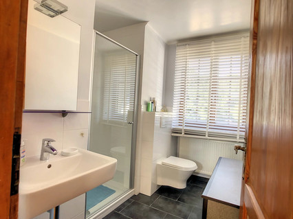 Quinta com 5 quarto(s) para venda em Scheidgen