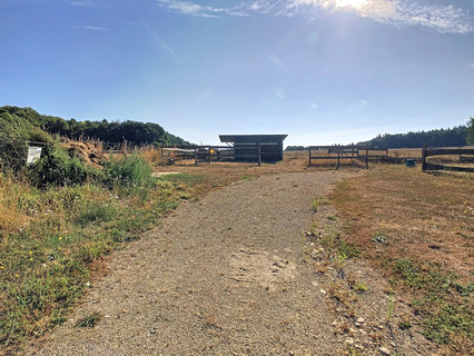 Quinta com 5 quarto(s) para venda em Scheidgen