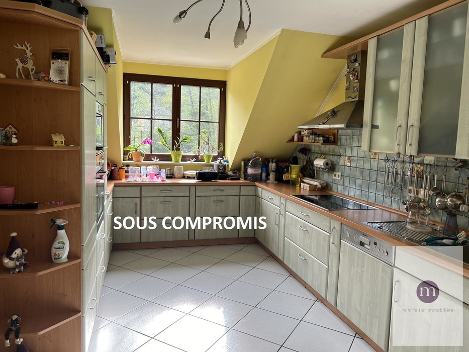 sous compromis 1.jpg