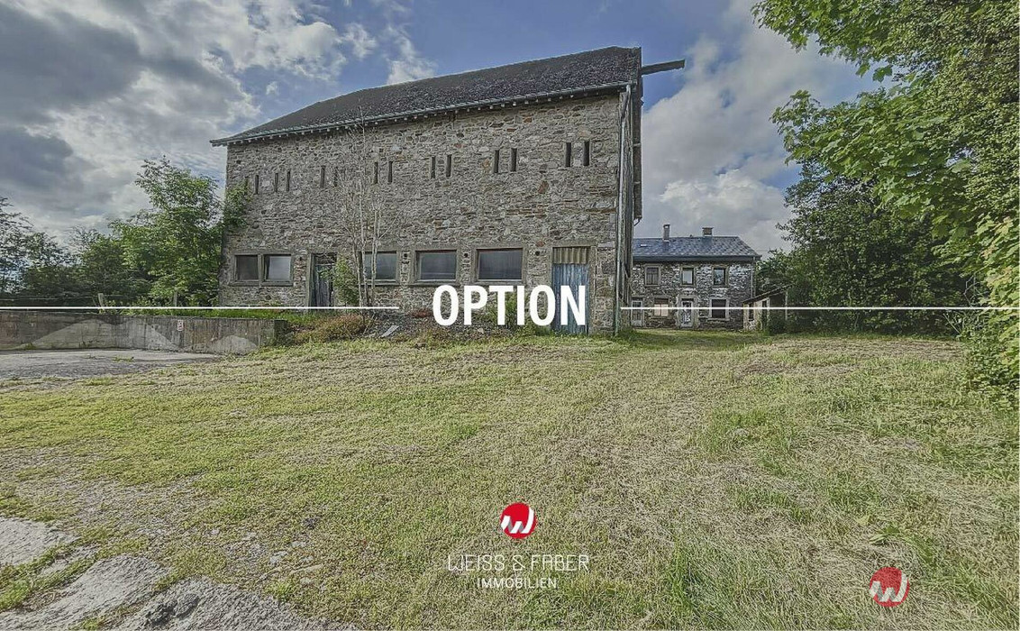 OPTION.jpg