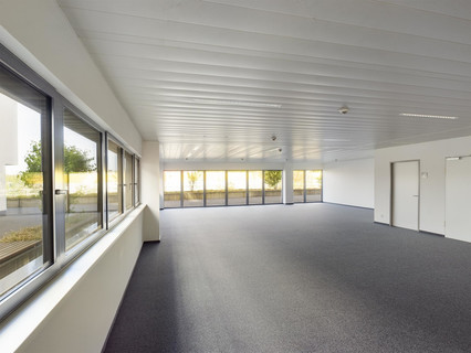 Escritório com 1 quarto(s) para alugar em Contern