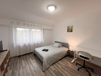 Bedroom with 6 bedroom(s) to rent in Luxemburg-Howald