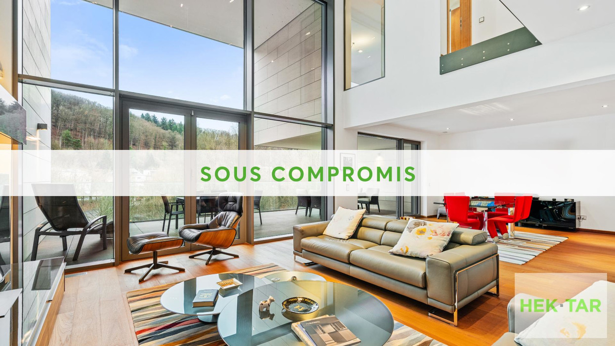 Sous compromis-Duplex dommeldange.jpg