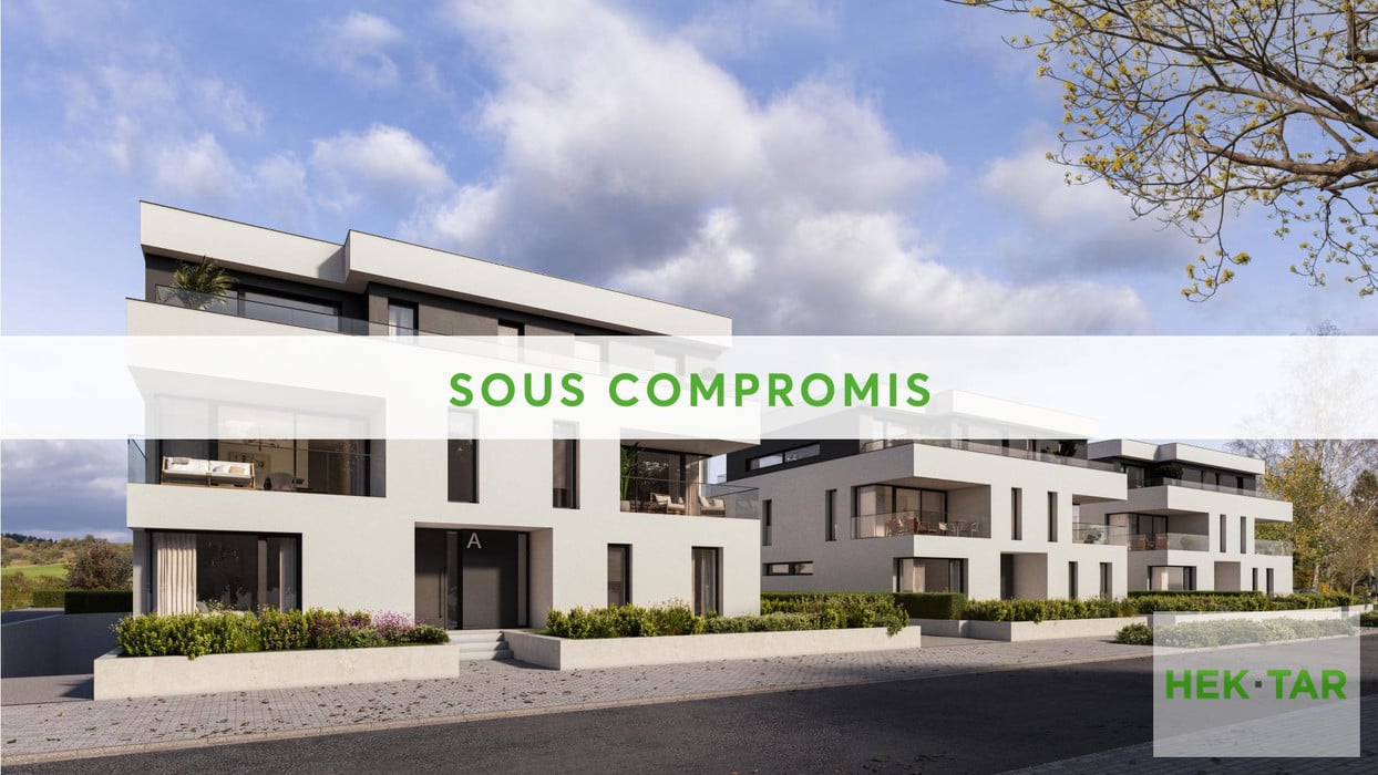 Sous compromis-Serenade.jpg