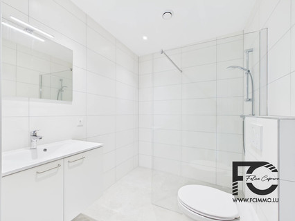 Duplex com 4 quarto(s) para venda em Aubange