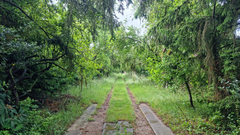 Terreno para venda em Strassen
