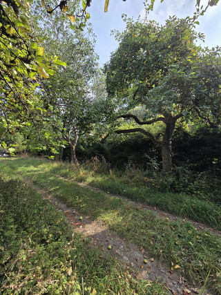 Terreno para venda em Strassen