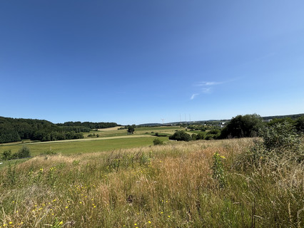 Land to sell in Gonderange