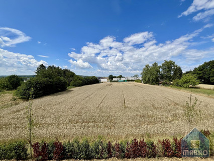 Armazém para alugar em Sprinkange