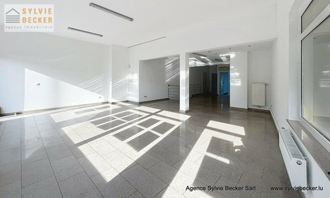 Centro de negócios para alugar em Walferdange