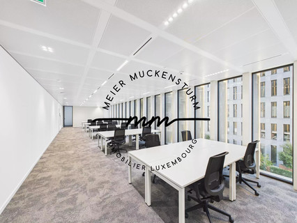 Office to rent in Luxembourg-Gasperich