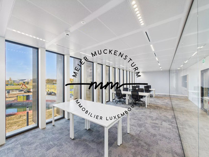 Office to rent in Luxembourg-Gasperich