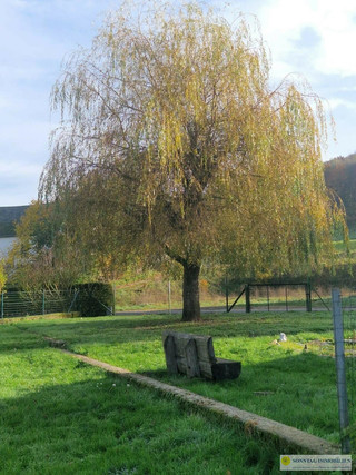 Terreno para venda em Ell