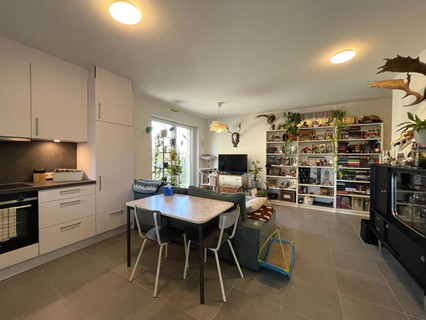 Apartment with 1 bedroom(s) to rent in Eselborn