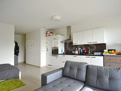 Studio to rent in Luxembourg-Belair