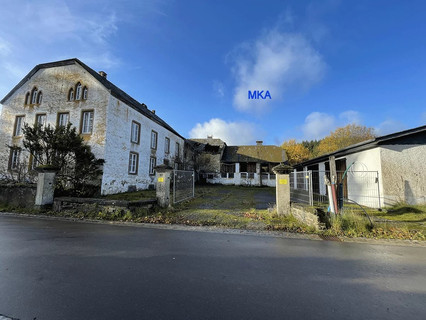 Farm with 8 bedroom(s) to sell in Bavigne