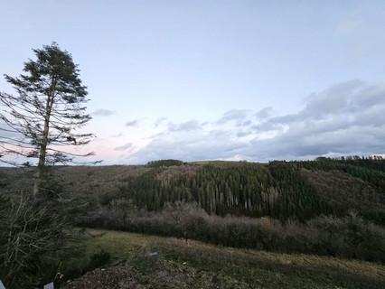 Moradia com 4 quarto(s) para venda em Neunhausen