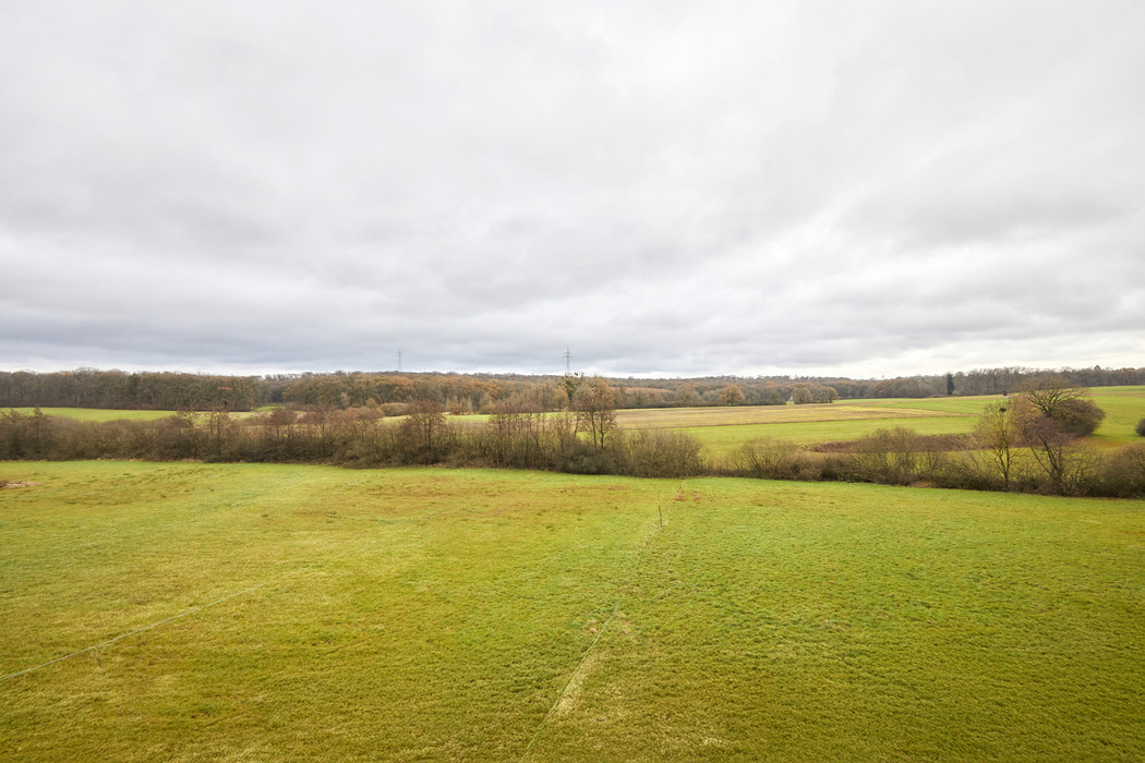 Sothebys_Bertrange 7.jpg