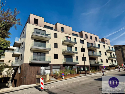 Business to sell in Luxembourg-Merl