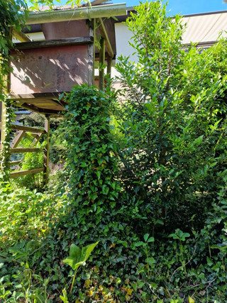 Moradia com 4 quarto(s) para venda em Kayl