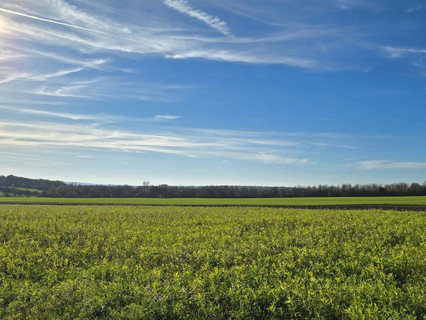 Terreno para venda em Trier-Biewer