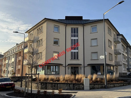 Wohnanlage 7 Zimmer zu verkaufen in Luxembourg-Merl