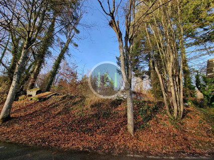 Apartamento com 3 quarto(s) para alugar em Senningerberg