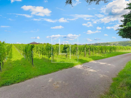 House with 5 bedroom(s) to sell in Wormeldange-Haut