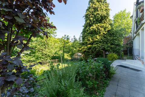 Terreno com 7 quarto(s) para venda em Luxembourg