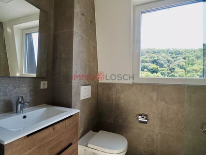 Duplex com 3 quarto(s) para alugar em Moersdorf