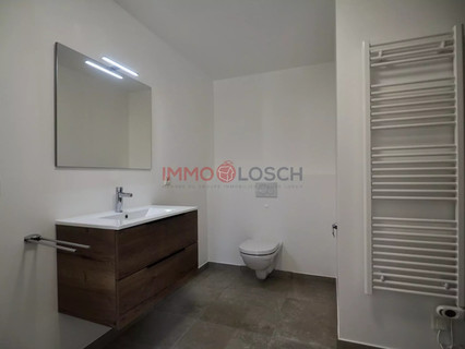 Duplex com 3 quarto(s) para alugar em Moersdorf