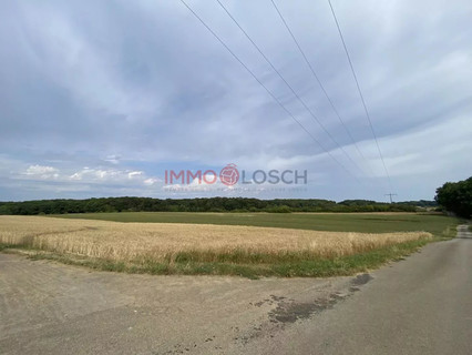 Jardim - Lago - Floresta para venda em Syren