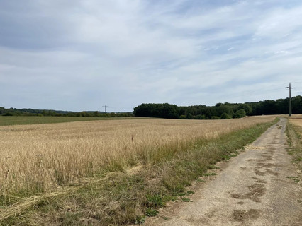 Jardim - Lago - Floresta para venda em Syren