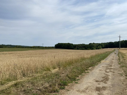 Jardim - Lago - Floresta para venda em Syren