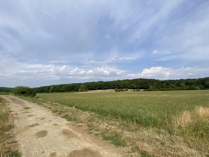 Jardim - Lago - Floresta para venda em Syren