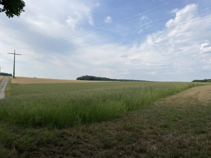 Jardim - Lago - Floresta para venda em Syren