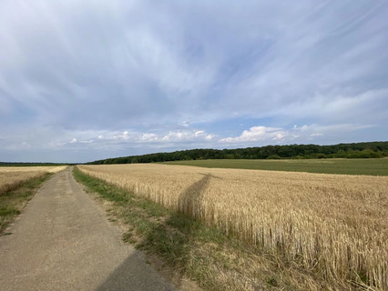 Jardim - Lago - Floresta para venda em Syren