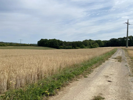 Jardim - Lago - Floresta para venda em Syren