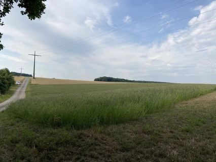 Jardim - Lago - Floresta para venda em Syren
