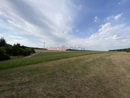 Jardim - Lago - Floresta para venda em Syren