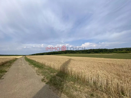 Jardim - Lago - Floresta para venda em Syren