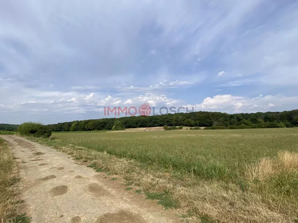 Jardim - Lago - Floresta para venda em Syren