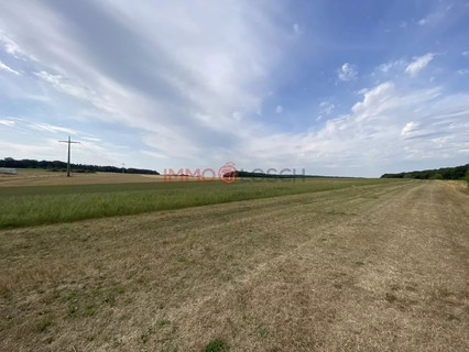 Jardim - Lago - Floresta para venda em Syren