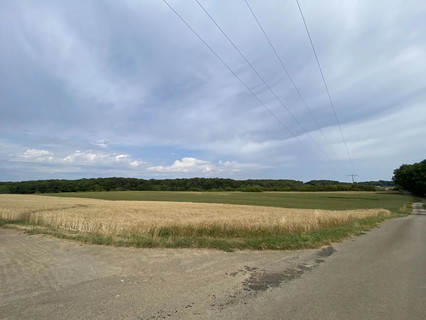 Jardim - Lago - Floresta para venda em Syren