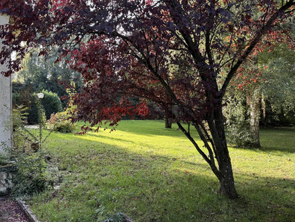 Terreno com 5 quarto(s) para venda em Berchem