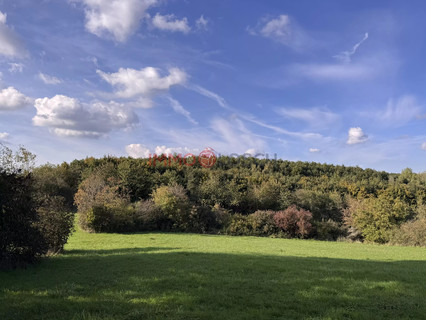 Terreno com 5 quarto(s) para venda em Berchem